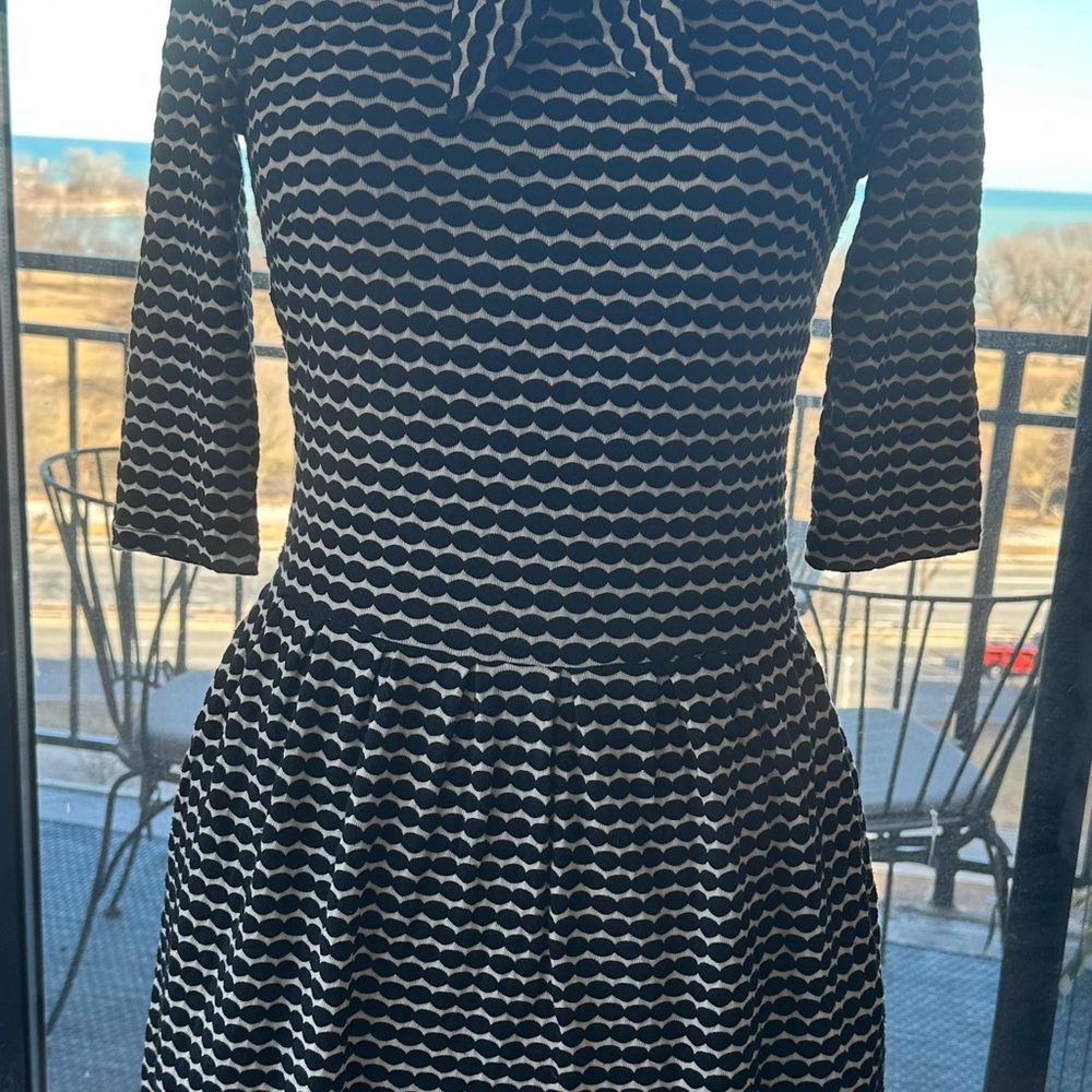 Dear Creatures Black and White Fit and Flare Dress